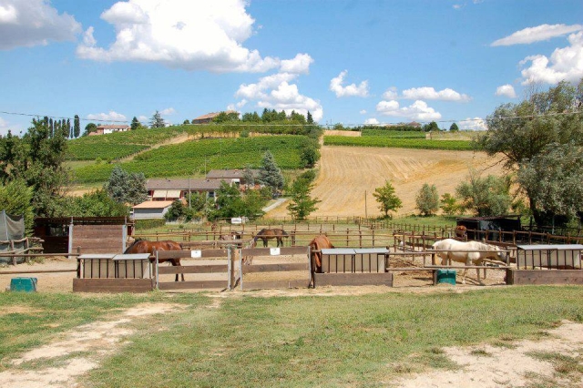 Trekking in a farmhouse 
